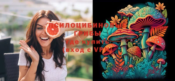 сатива Володарск